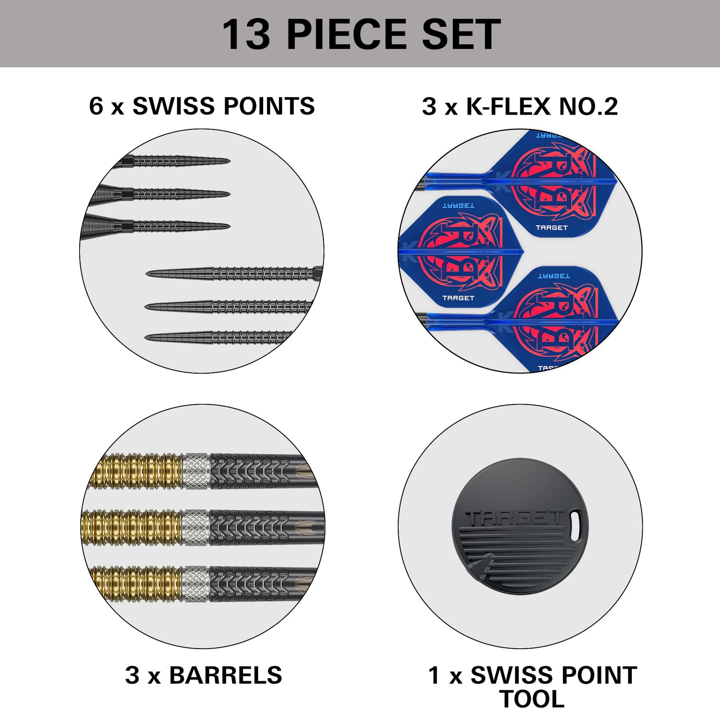 Target Raymond van Barneveld G6 95% Tungsten Swiss Point Steeldarts