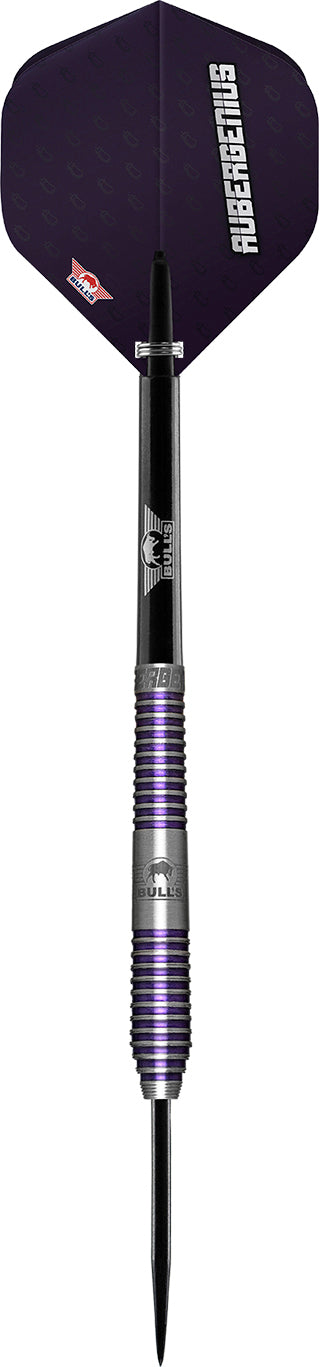 Bull's NL Dirk van Duijvenbode 80% Tungsten stalen darts