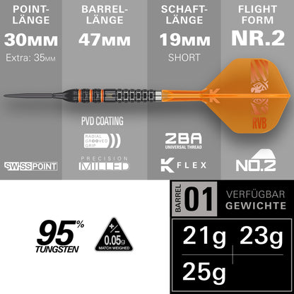 Target Raymond van Barneveld 95K 95% Tungsten Swiss Point Steeldarts