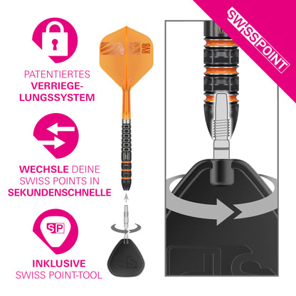 Target Raymond van Barneveld 95K 95% Tungsten Swiss Point Steeldarts
