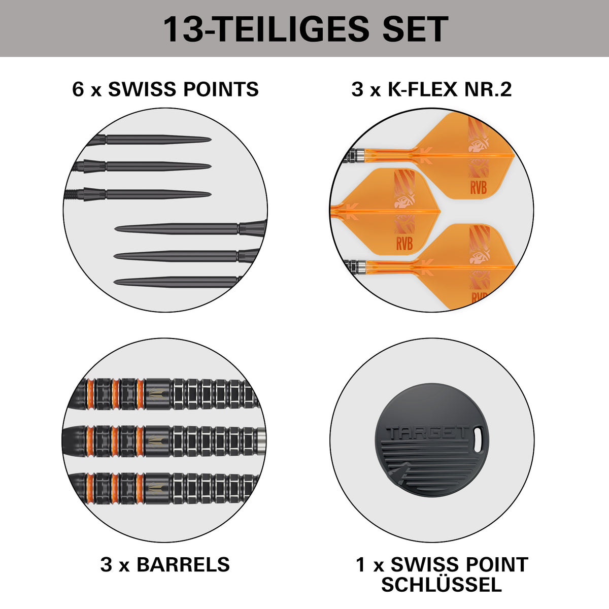 Target Raymond van Barneveld 95K 95% Tungsten Swiss Point Steeldarts