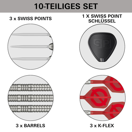 Target Group Ø 03 50% Tungsten Swiss Point Steeldarts