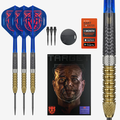 Target Raymond van Barneveld G6 95% Tungsten Swiss Point Steeldarts