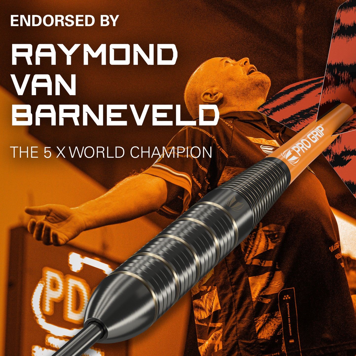 Doelwit Raymond van Barneveld Brass Steeldarts
