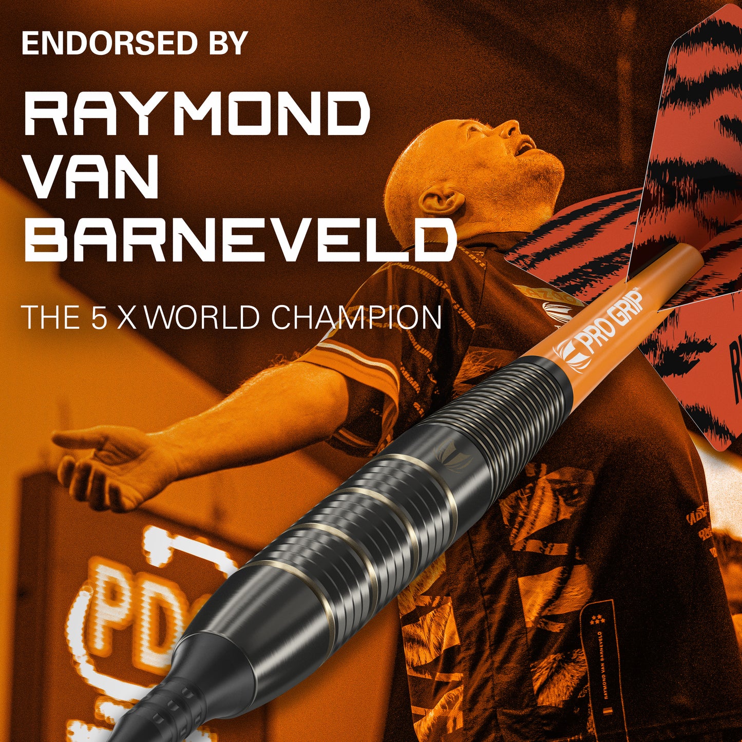 Target Raymond van Barneveld Brass Softdarts