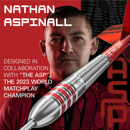 Target Nathan Aspinall Brass Steeldarts
