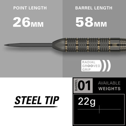 Doelwit Raymond van Barneveld Brass Steeldarts