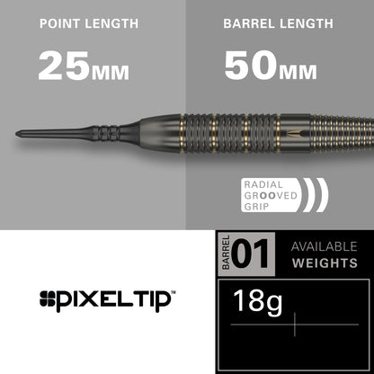 Target Raymond van Barneveld Brass Softdarts