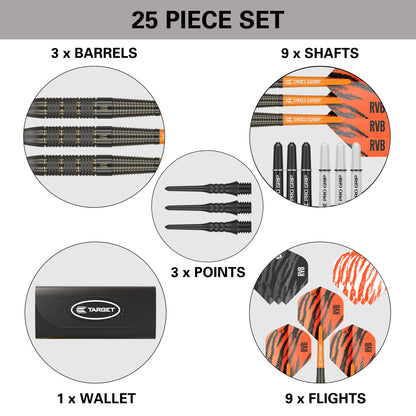 Target Raymond van Barneveld Brass Softdarts