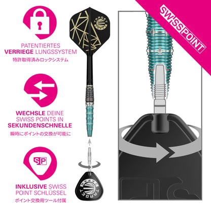 Target Japan The Miracle Rising Sun Limited Edition Champions Set 95% Tungsten Swiss Point Steeldarts