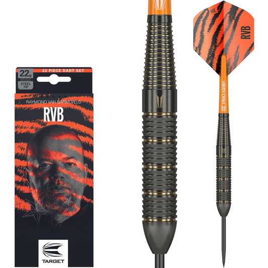 Target Raymond van Barneveld Brass Steeldarts